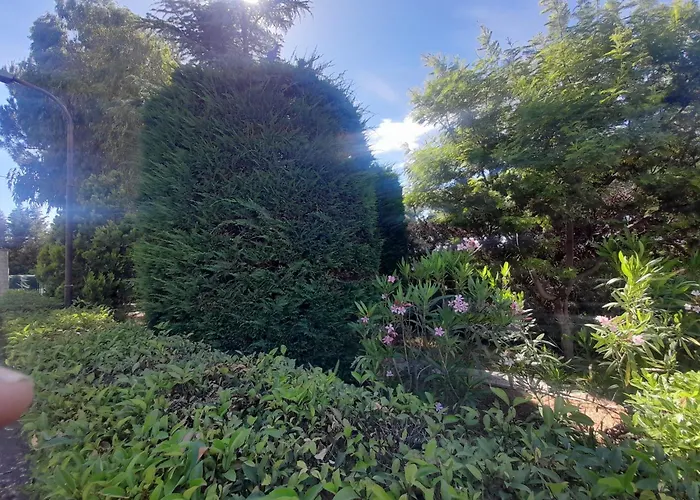 Casa de Férias Rosa *